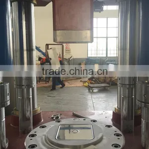 Salt Licking Stone With Iodine Hydraulic Powder Forming Machine thumbnail-5