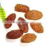 Brown Raisins Sultana Raisins Red Grape Seedless Raisin Dried Fruit Snack Fruit thumbnail-1