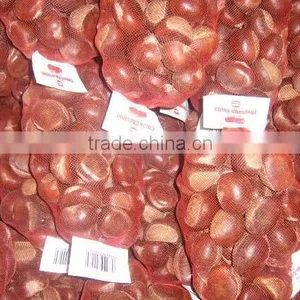 Raw Fresh Good Chestnuts Packed and Exported to Turkey thumbnail-5