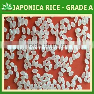 JAPONICA RICE - JOHN ( + 84 1693 525 765) - BEST PRICE - Crop 2015 thumbnail-1