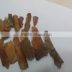 Cinnamon thumbnail-1