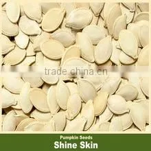 PUMPKIN SEEDS thumbnail-5