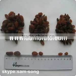 AAA Grade 95% Xinjiang Brown Raisin thumbnail-3