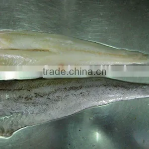 Pacific Cod Fillet Seafood thumbnail-1