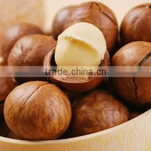 New Type Macadamia Nut Cracker Machine/macadamia Nut Opening Machine/macadamia Nut Tapping Machine thumbnail-4