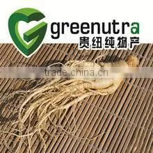 American Ginseng Extract Ginsenosides thumbnail-1