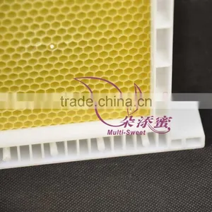 Plastic Frame With Foundation thumbnail-2