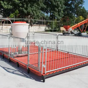 Poultry Feed Processing Equipment Stainless Steel Pigs Stall Nursery Crates thumbnail-5