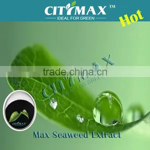 Seaweed Extract Powder thumbnail-1