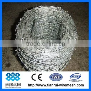 14x14 16x16 Electro/ Hot Dipped Galvanized Barbed Wire thumbnail-1
