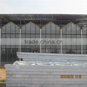 Film/Glass/PC Growing Greenhouse For Hydroponics NFT Lettuce thumbnail-1