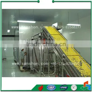 LSZ-1.0 Vegetable And Fruit Fluidized Quick Freezer thumbnail-6