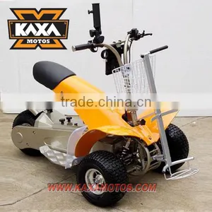Electric Golf Cruiser thumbnail-1