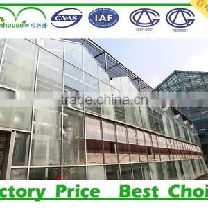 Vegetable Growing Intelligent Glass Greenhouse thumbnail-2