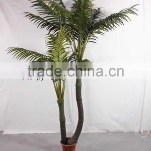 SJ12000357 Landscaping Decorative Outdoor Areca Palm thumbnail-3