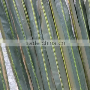 2017 Artificial Outdoor Palm Tree Plastic Palm Tree Palm Trees Sale thumbnail-3
