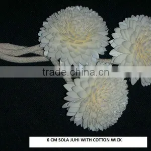 Sola Juhi Flower thumbnail-1