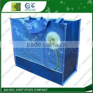 Various Designs Laminated BOPP Woven Shopping Bag thumbnail-1