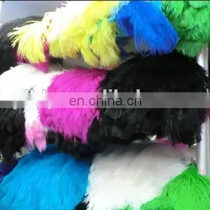 Wholesale South Africa Ostrich Feathers for Decoration Wedding Ostrich Feathers thumbnail-6