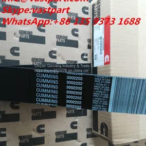 Cummins KTA19 Engine Parts Fan Belt 3002202 thumbnail-1