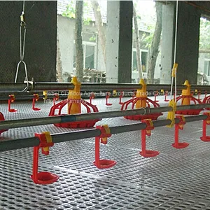 Breeding Cages thumbnail-4
