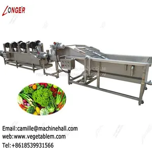 Tomato Washer and Dryer|Fruit and Vegetable Washing and Drying Machine|Strawberry Cleaning Line thumbnail-2