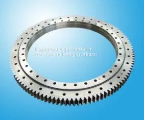Rks. 302070202001 Slewing Drive Slewing Bearing for Truck Mounted Crane thumbnail-1