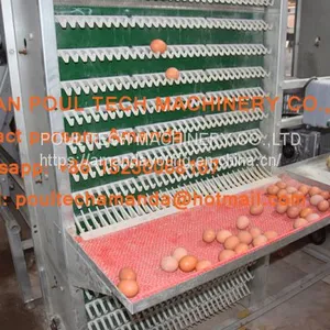 South Africa Chicken Farming Hot Galvanized Cage A Type Battery Laying Egg Chicken Cage & Chicken Coop & Hen Cage With 120 Birds thumbnail-3