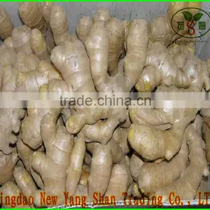 (HOT) 2015 Cang Shan Garlic /Cangshan Garlic(4 to 6 Cloves of Garlic) thumbnail-4