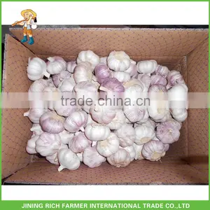 Export Chinese 4.5CM Fresh Red Garlic thumbnail-1