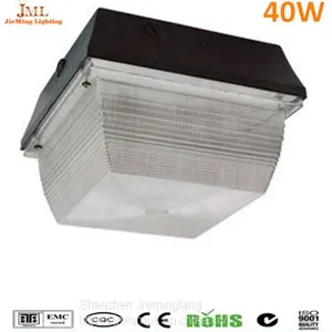 Outdoor Park Light Ceilging Light With Fixture Floodlight 40W 60W 80W 100W 5years Warranty Permanent Life thumbnail-1
