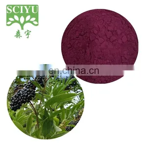 Sciyu Supply Anthocyanidins 1%~25% Elderberry Fruit Extract Powder thumbnail-1