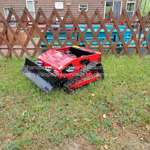 China RC Weed Cutter With Best Price For Sale Buy Online thumbnail-5
