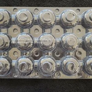 Plastic Packaging Thermoformed Blister Insert Trays thumbnail-3