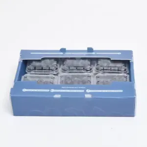 Wholesale Corrugated PP Plastic Fruit & Vegetable Crates – Custom Packaging Box Factory thumbnail-2