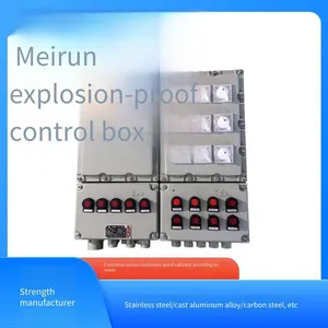 Meirun Constant Voltage Power Supply Explosion-proof Control Box, Flameproof Cast Aluminum Alloy, Suitable for Various Harsh Environments thumbnail-1