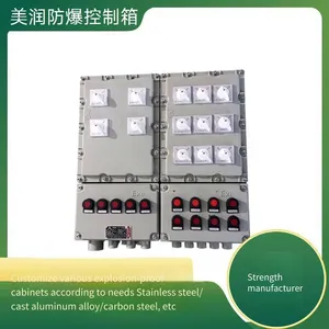 Meirun Waterproof, Dustproof and Explosion-proof Control Box, Suitable for Vertical, Wall-mounted, Floor-standing Installation, Special for Chemical and Other Flammable and Explosive Environments thumbnail-4