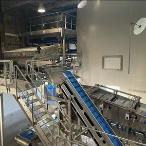 Custom Design Available Sweet Corn Processing Machines Corn Processing Equipment Canned Sweet Corn Processing Machine thumbnail-4