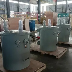 11kV Single Phase Transformer 35kVA for Solar Farm Grid Connection thumbnail-4