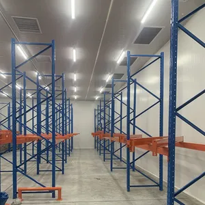 Cold Storage Racking, Heavy Duty Pallet Racking for Low Temperature Warehouse, Moisture & Rust Resistant Cold Room Rack Customized thumbnail-4