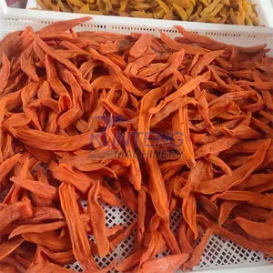 Industrial Dryer for Food Production Carrot Dryer Machine Dried Onion Production Line EPC thumbnail-3