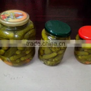 High Quality Canned Pickled Cucumber thumbnail-1