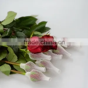 China Crazy Selling China Fresh Black Magic Rose Flower thumbnail-1