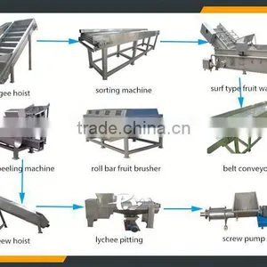 Leader Stainless Steel Longan Fruit Juicer Machine With CE & ISO thumbnail-5