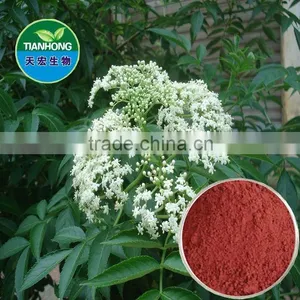 Natural Elderberry Extract of High Quality Anthocyanin thumbnail-1