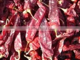 Red Chilli thumbnail-1