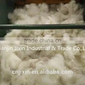 China Manufacturer 100% Cashmere Fiber for Cashmere Scarf thumbnail-1