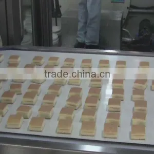 Full Automatic Layer Cake Product Line thumbnail-1