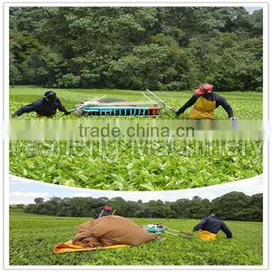 Hot Sale Tea Leaf Picker for Sale thumbnail-3