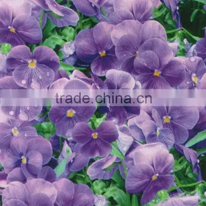 RD039 Camo Water Transfer Printing Film thumbnail-5